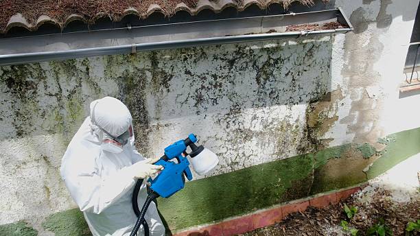 Top rated local Crawl Space Mold Remediation specialists in Mantua, VA